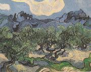 Vincent Van Gogh Olive Trees with the Alpilles in the Background (nn04) Spain oil painting artist